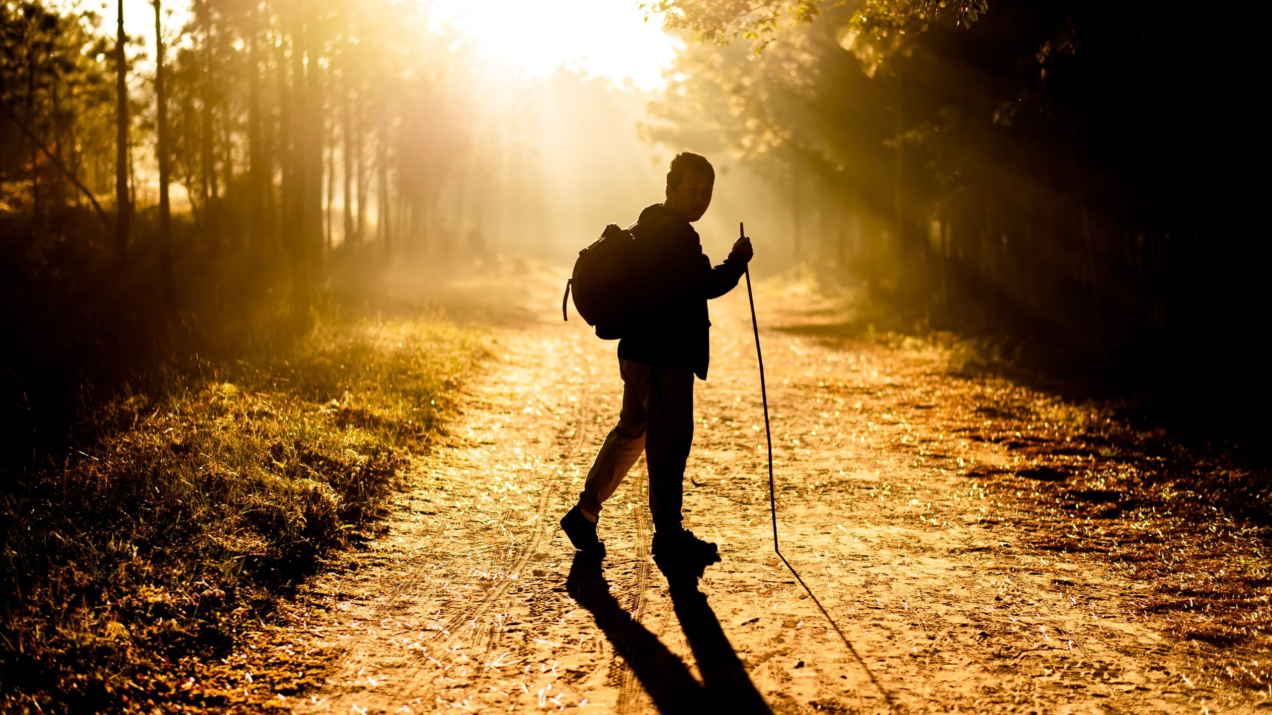 Man walking in park at sunrise