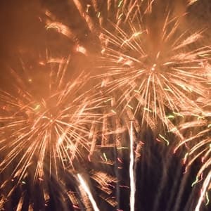 Dandelion Firework Burst